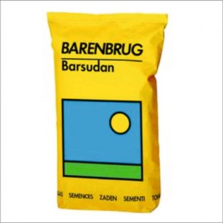 Barsudan Barenbrug seminte de gazon Agrodor