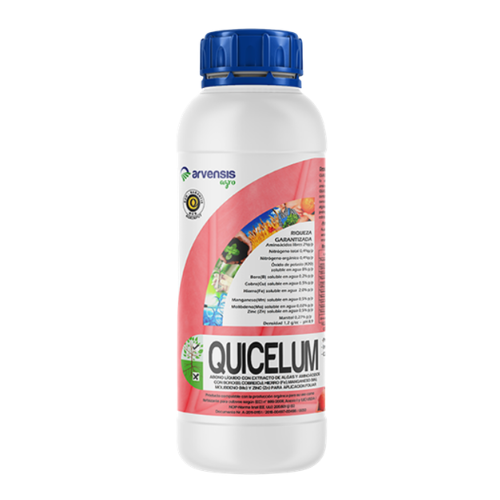 QUicelum-1l